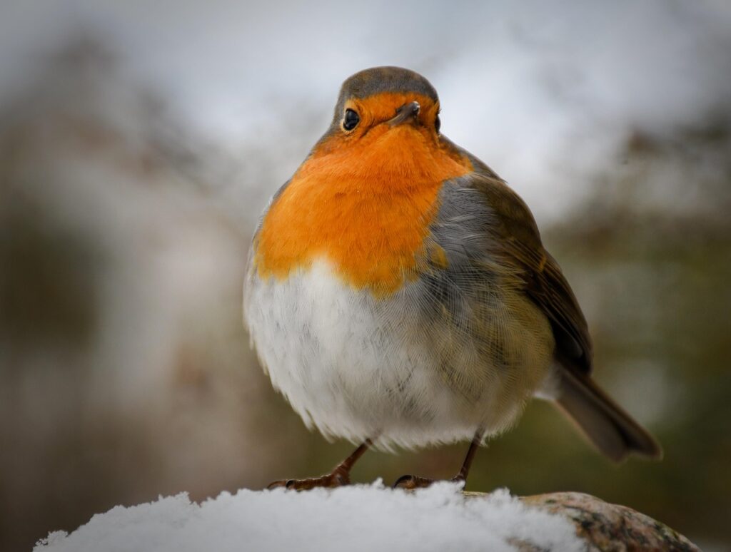 Czas taktu, OEE, TEEP – KPI produkcyjne monitorowane przez MES