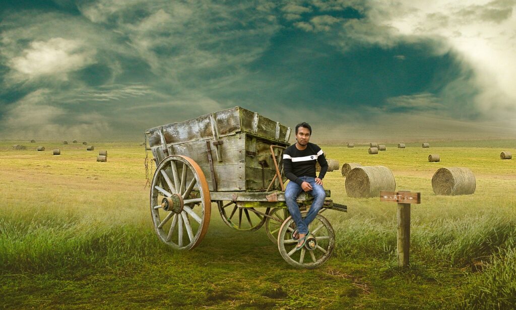 Najlepsze systemy HRM w Polsce – zestawienie i porównanie 2026