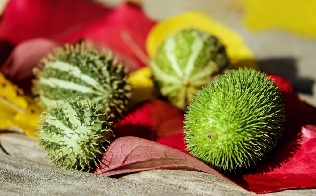 Procesy, które najlepiej nadają się do automatyzacji przez RPA